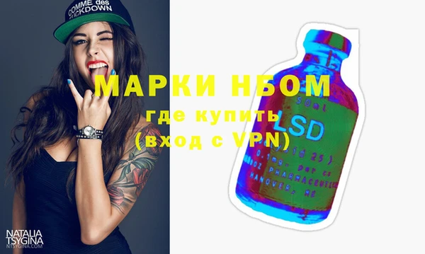 стаф Аркадак