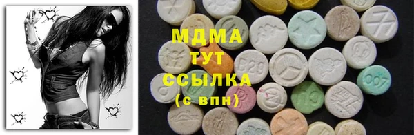 стаф Аркадак
