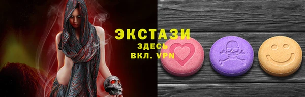 стаф Аркадак