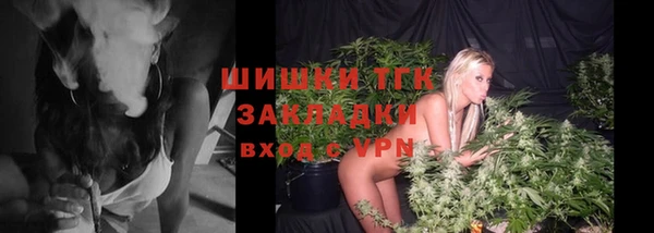 ГАЛЛЮЦИНОГЕННЫЕ ГРИБЫ Арсеньев