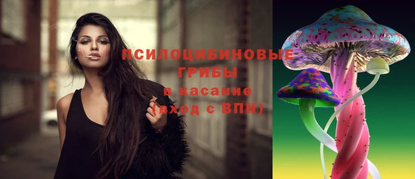 стаф Аркадак
