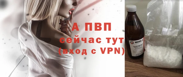 стафф Армянск