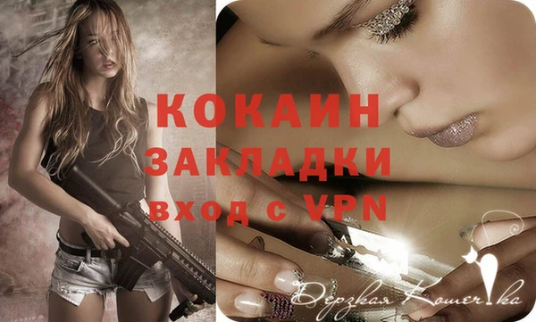 стаф Аркадак