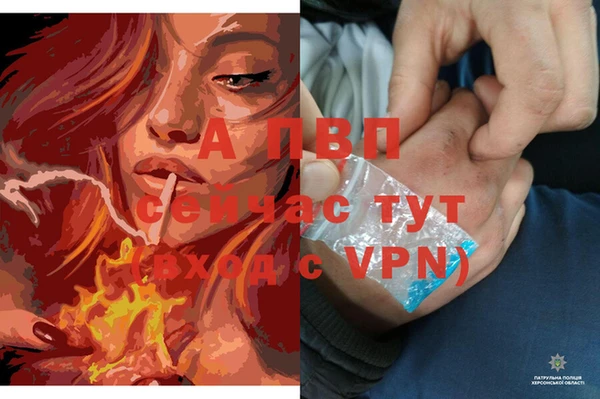 стафф Армянск