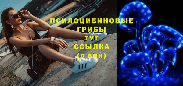 ГАЛЛЮЦИНОГЕННЫЕ ГРИБЫ Арсеньев