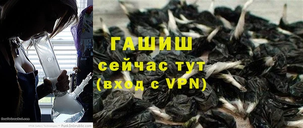 стаф Аркадак