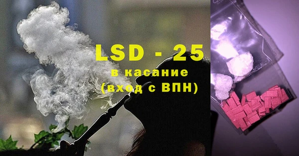 стаф Аркадак