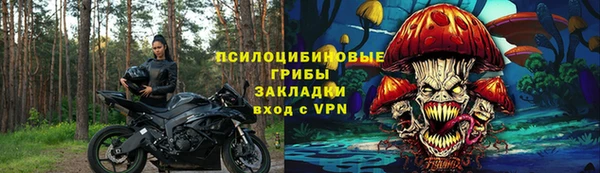 ГАЛЛЮЦИНОГЕННЫЕ ГРИБЫ Арсеньев