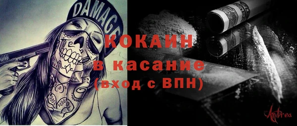 стаф Аркадак