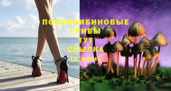 стафф Армянск