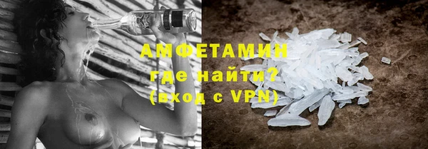 стаф Аркадак