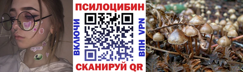 Псилоцибиновые грибы MAGIC MUSHROOMS  цена   мориарти какой сайт  Верея 